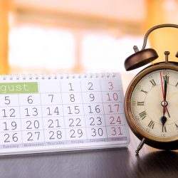 CALENDAR & AVAILABILITY